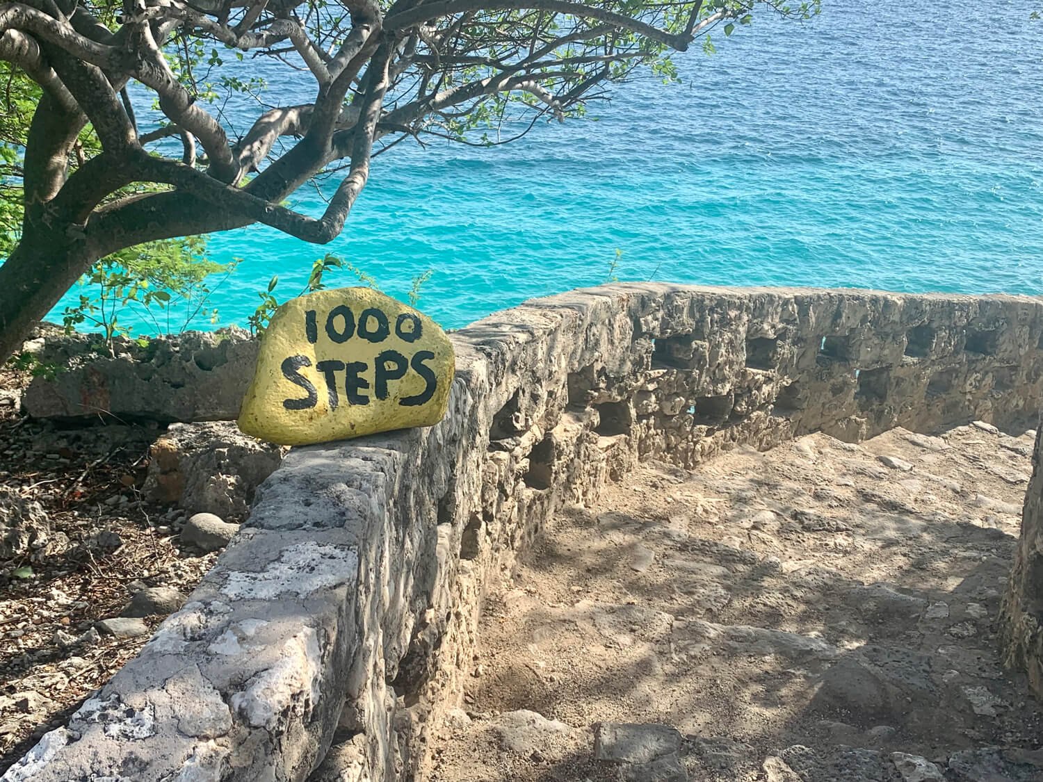 1000 steps duik artikel