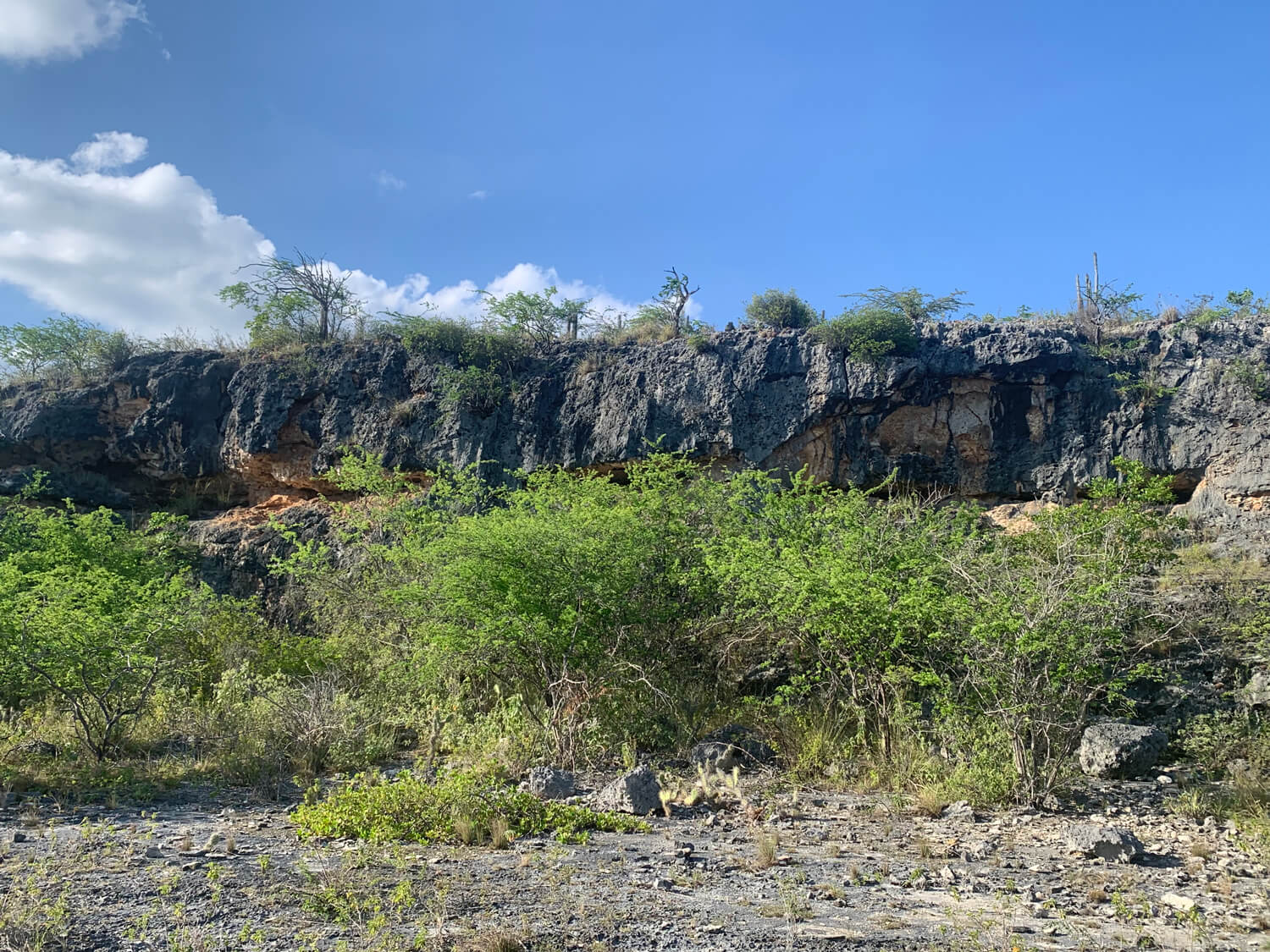 bonaire landschap