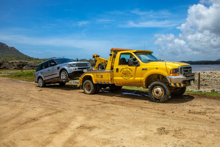 Een Unieke Kijk Op Service • Royal Car Rental Bonaire