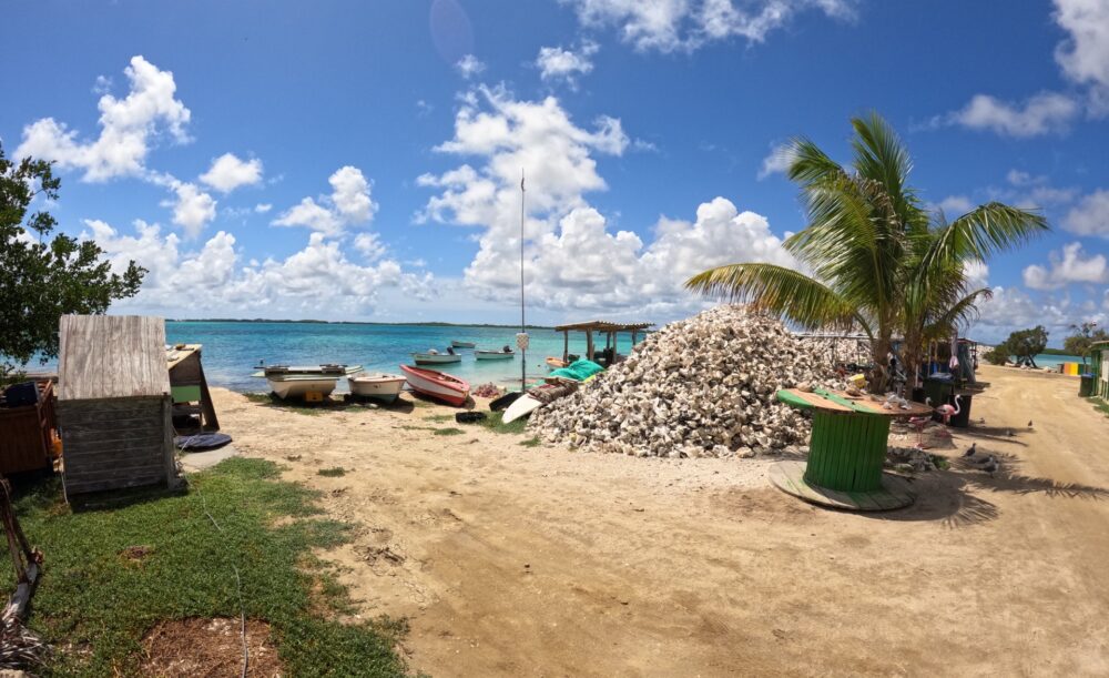 Royal Car Rental Bonaire Informatie