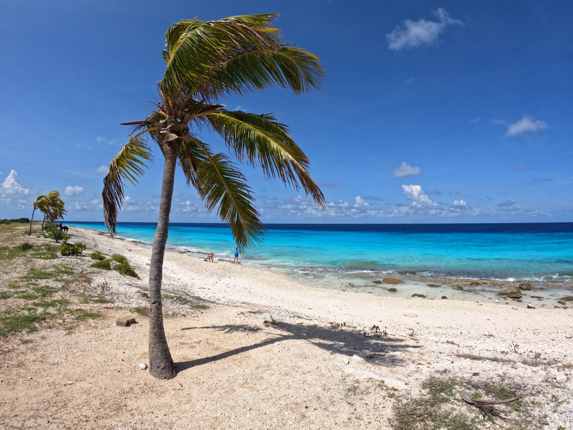 Zandstrand Pink beach